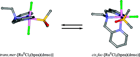 Mechanistic insights into the chemistry of Ru(II) complexes containing Cl and DMSO ligands