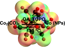 Mechanistic studies on the conversion of dicobalt octacarbonyl into colloidal cobalt nanoparticles