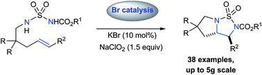 Metal-free diamination of alkenes employing bromide catalysis