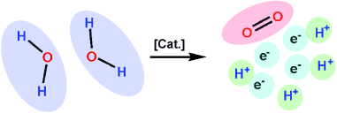 Molecular catalysts that oxidize water to dioxygen