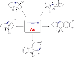 Molecular diversity through gold catalysis with alkynes