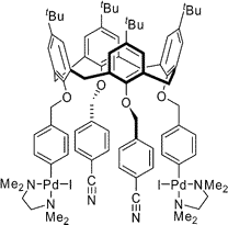 Multinuclear calixarene synthons with covalently linked aryl-palladium(II) complexes