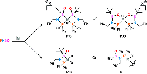 N-Benzyl-N-phosphino-tert-butylsulfinamide and its coordination modes with Ir(I), Cu(I), Pd(II), and Pt(II): P,S or P,O?