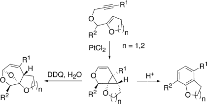 New annulations via platinum-catalyzed enyne cyclization and cyclopropane cleavage
