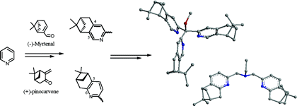 New synthetic routes towards enantiopure nitrogen donor ligands