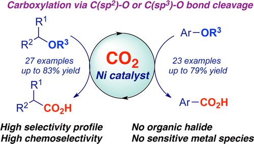 Ni-Catalyzed Carboxylation of C(sp2)– and C(sp3)–O Bonds with CO2