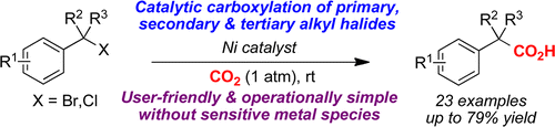 Ni-catalyzed direct carboxylation of benzyl halides with CO2