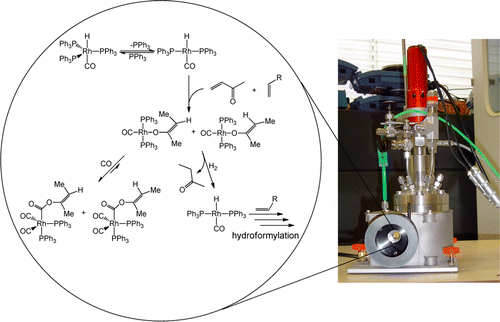 Operando spectroscopy in catalytic carbonylation reactions