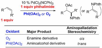 Palladium-Catalyzed Intermolecular Aminoacetoxylation of Alkenes and the Influence of PhI(OAc)2 on Aminopalladation Stereoselectivity