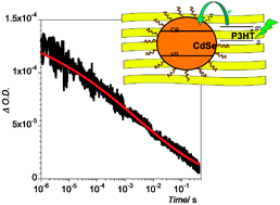 Photo-induced electron recombination dynamics in CdSe/P3HT hybrid heterojunctions