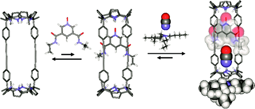Polyatomic anion assistance in the assembly of [2]pseudorotaxanes