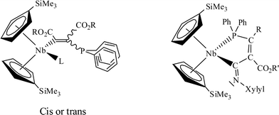 Reactions of alkynes with phosphido niobocenes: A combined experimental and theoretical study
