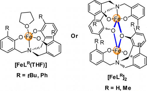 Reactivity control in iron(III) amino triphenolate complexes: Comparison of monomeric and dimeric complexes
