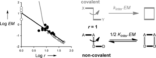 Relationship between conformational flexibility and chelate cooperativity