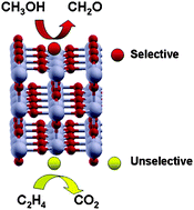 Rules for selectivity in oxidation processes on RuO2(110)