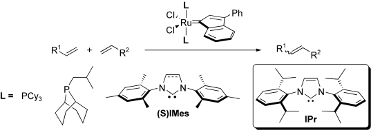 Ruthenium-indenylidene complexes: Scope in cross-metathesis transformations