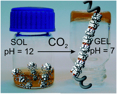 Sodium and pH responsive hydrogel formation by the supramolecular system calix[4]pyrrole derivative/tetramethylammonium cation