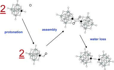 Structural evolution in polyoxometalates: A DFT study of dimerization processes in Lindqvist and Keggin cluster anions