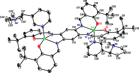 Supramolecular adsorption of alkaloids by metallosalphen complexes