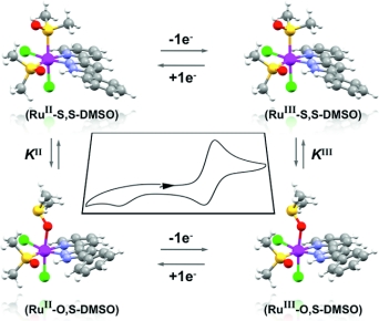 Synthesis, characterization, reactivity, and linkage isomerization of Ru(Cl)2(L)(DMSO)2 complexes
