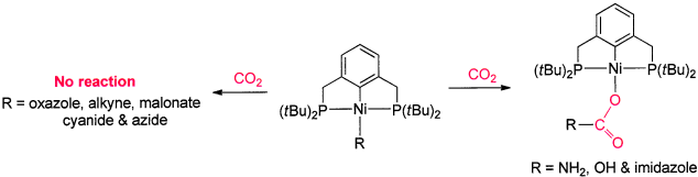 Synthesis of PCP-supported nickel complexes and their reactivity with carbon dioxide