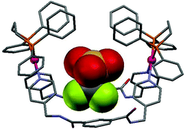 Synthesis, structural characterization and anion binding studies of palladium macrocycles with hydrogen-bonding ligands