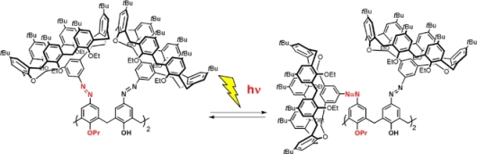 Synthesis and photoisomerization of azocalixarenes with dendritic structures