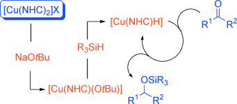 Synthesis and characterization of [Cu(NHC)2]X complexes: Catalytic and mechanistic studies of hydros