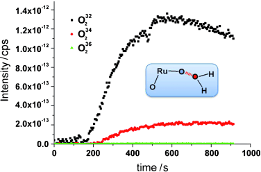 The cis-[RuII(bpy)2(H2O)2]2+ water-oxidation catalyst revisited