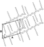 The longest oligothiophene ever examined by X-ray structure analysis