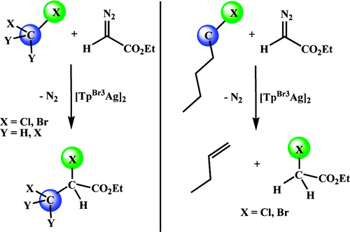 The mechanism of the catalytic functionalization of haloalkanes by carbene insertion: An experimental and theoretical study