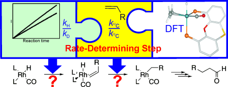 The rate-determining step in the rhodium–Xantphos-catalysed hydroformylation of 1-octene