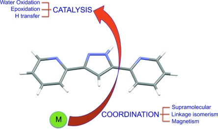 Transition-metal complexes containing the dinucleating tetra-N-dentate 3,5-bis(2-pyridyl)pyrazole (Hbpp) ligand – A robust scaffold for multiple applications including the catalytic oxidation of water