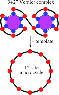 Vernier templating of nanoscopic porphyrin rings