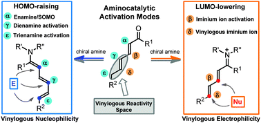 When asymmetric aminocatalysis meets the vinylogy principle