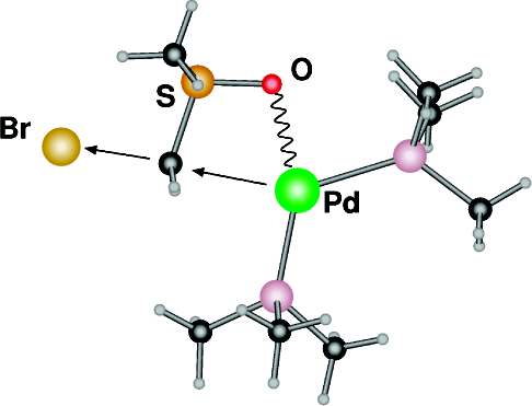 Why is the Suzuki-Miyaura cross-coupling of sp3 carbons in alpha-bromo sulfoxide systems fast and stereoselective? A DFT study on the mechanism
