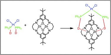 Zn(II) Robson macrocycles as templates for chelating diphosphines