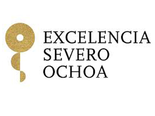 29.ICIQ-is-credited-as-a-Severo-Ochoa