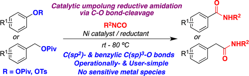 Ni-Catalyzed Direct Reductive Amidation via C-O bond Cleavage