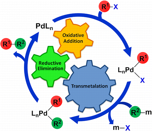 Computational Perspective On Pd Catalyzed C C Cross Coupling Reaction Mechanisms