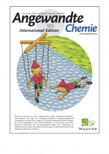 Lari_et_al-2017-Angewandte_Chemie_International_Edition