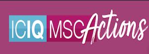 banner msca projects