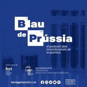 disseny_1x1_programa_blaudeprussia